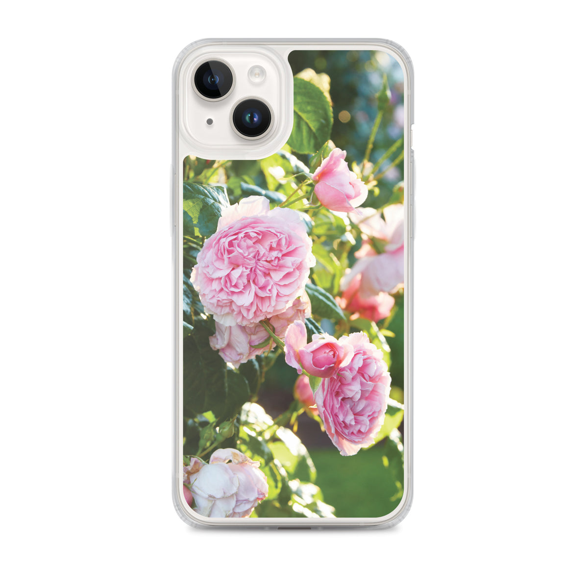 Pink Roses iPhone Case