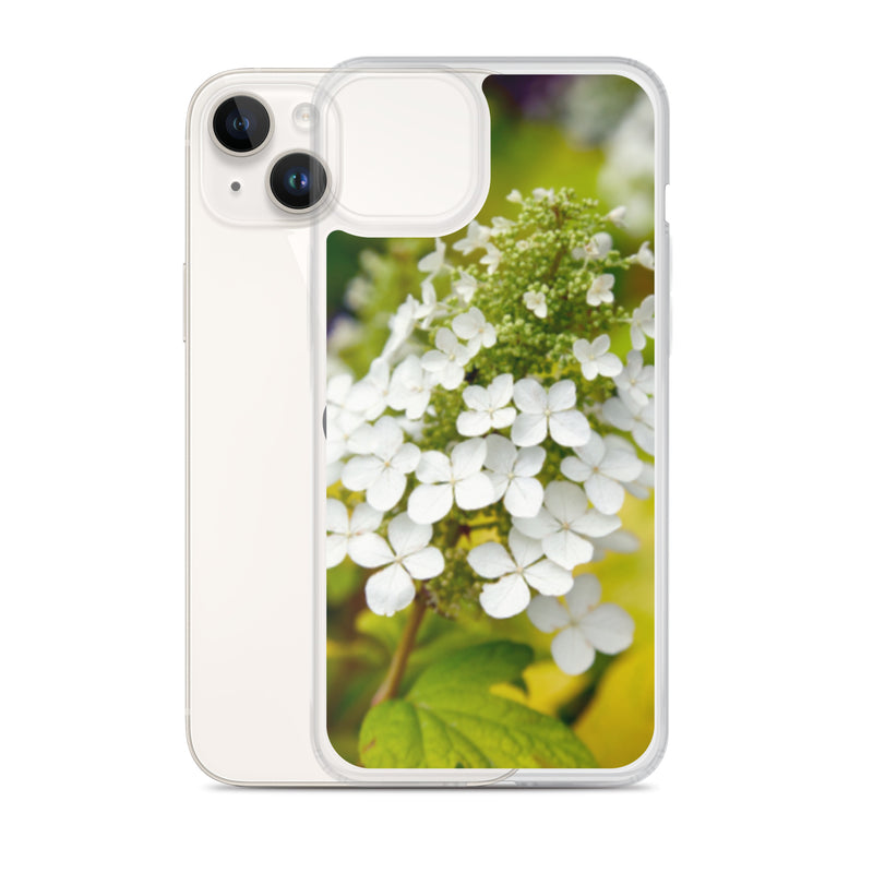 Panicle Hydrangea iPhone Case