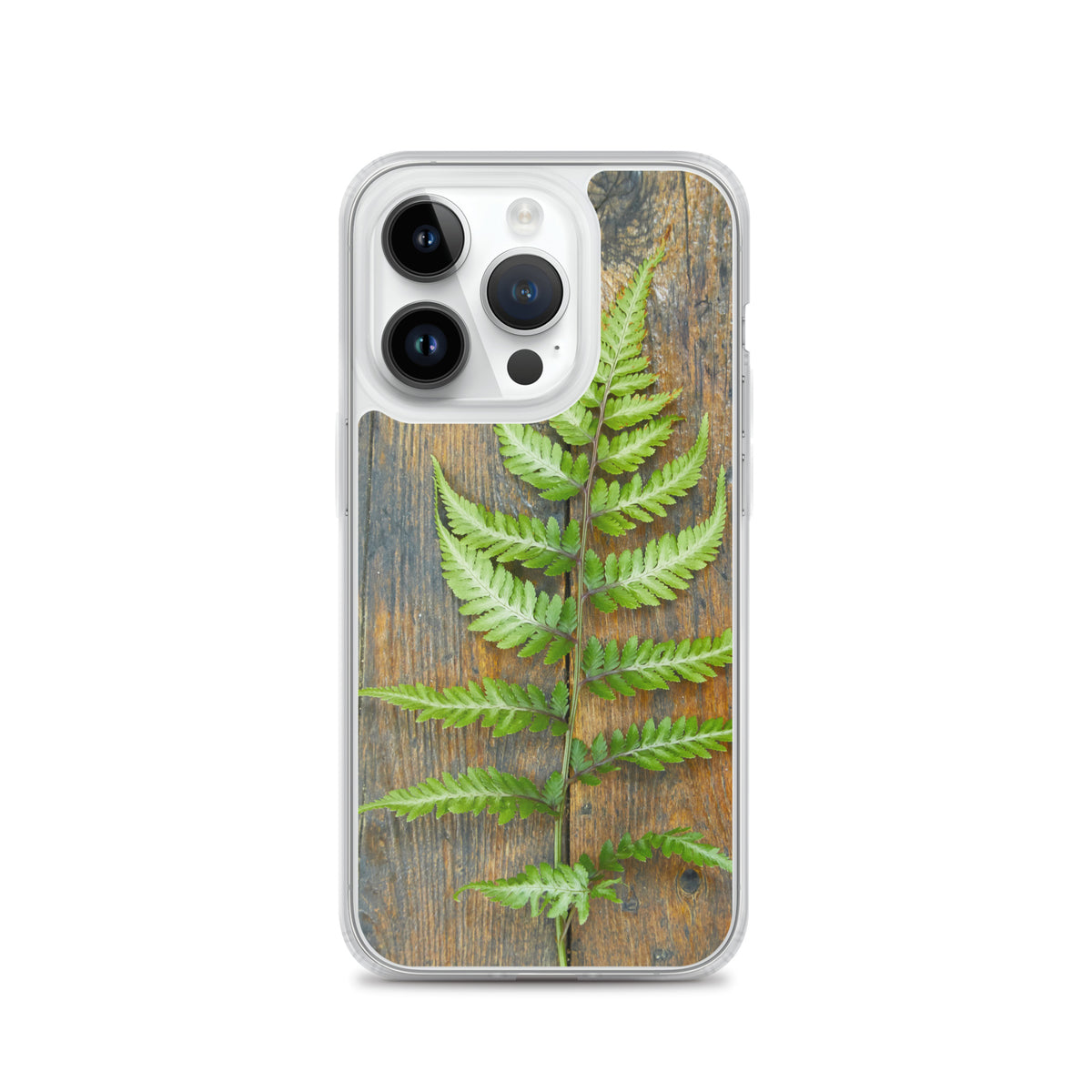 Fern iPhone Case