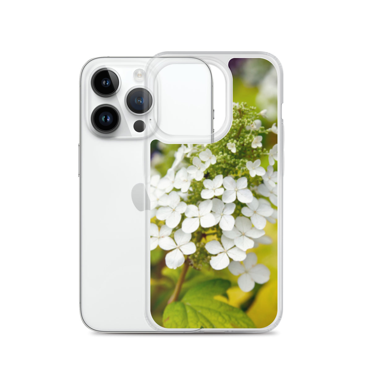 Panicle Hydrangea iPhone Case