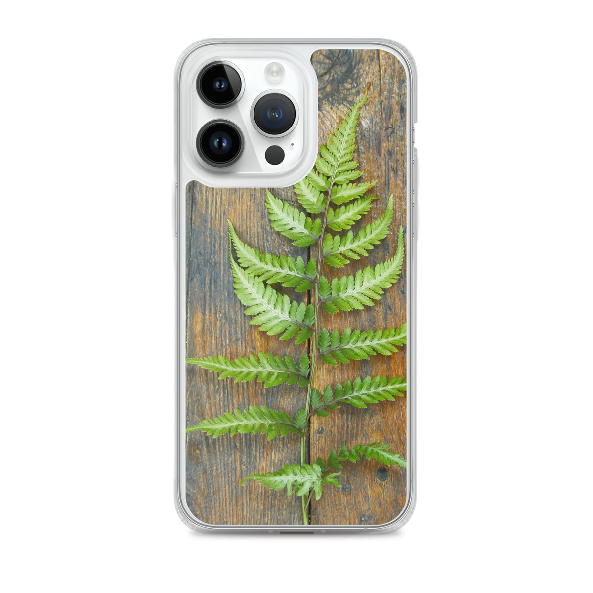 Fern iPhone Case