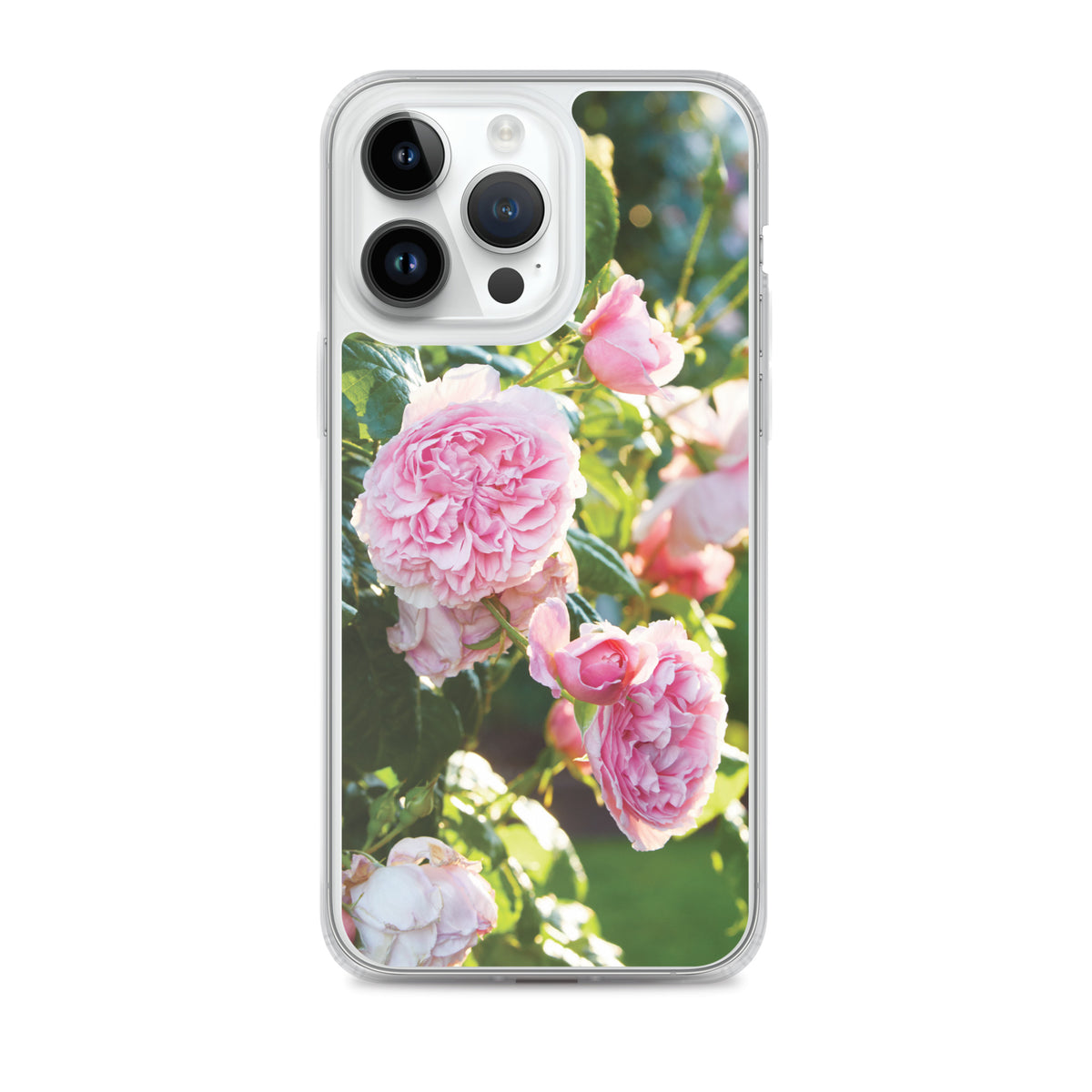 Pink Roses iPhone Case