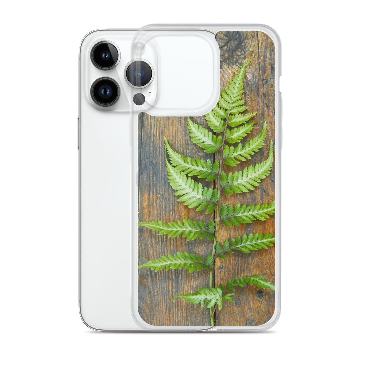 Fern iPhone Case