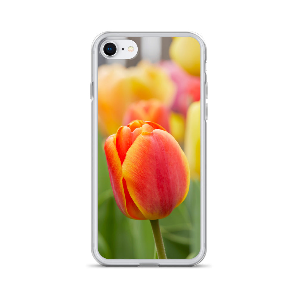 Colorful Tulip iPhone Case