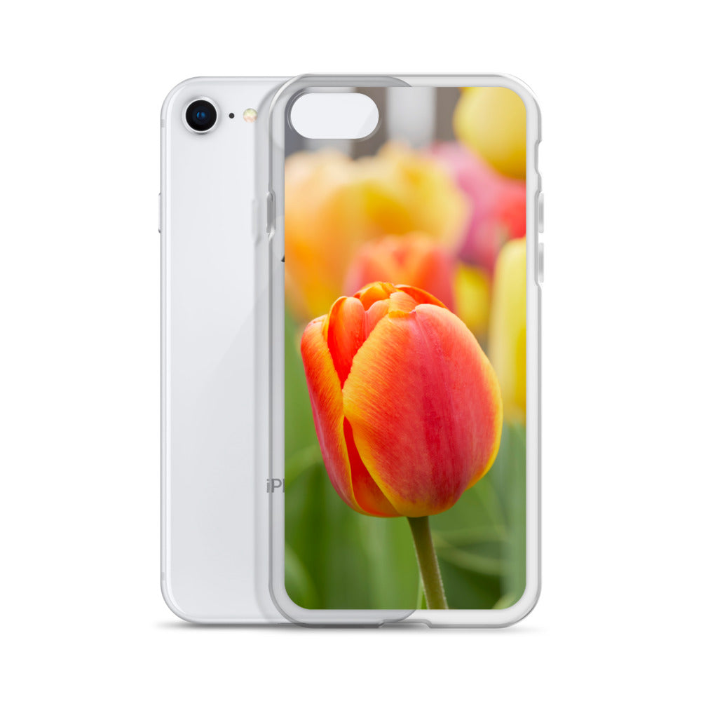 Colorful Tulip iPhone Case