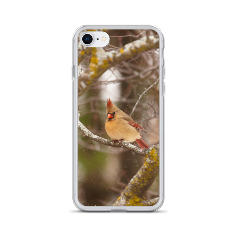 Female Cardinal iPhone Case