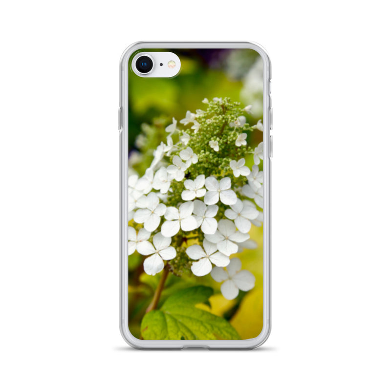 Panicle Hydrangea iPhone Case