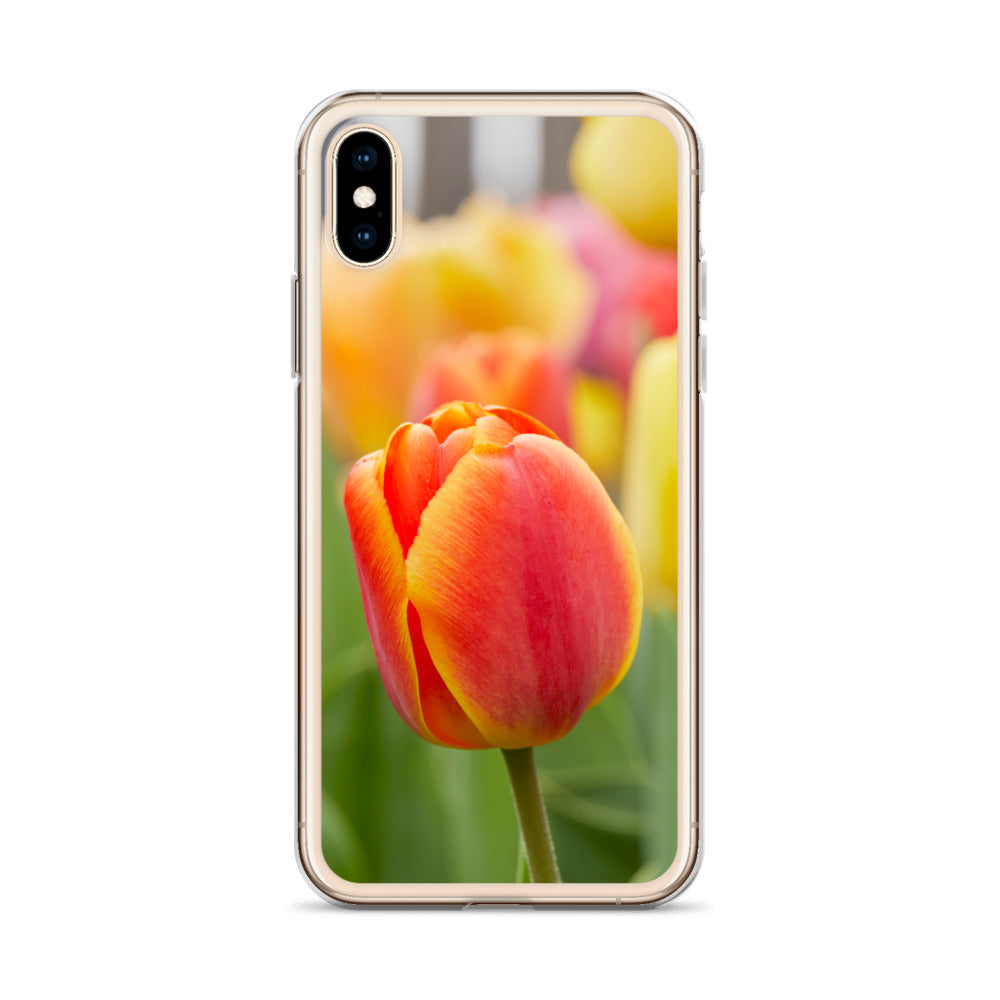 Colorful Tulip iPhone Case