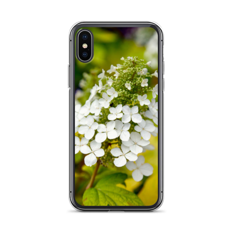 Panicle Hydrangea iPhone Case