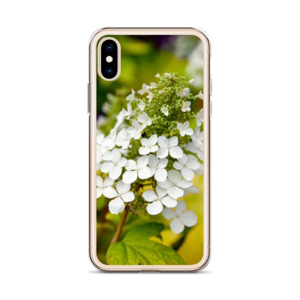Panicle Hydrangea iPhone Case