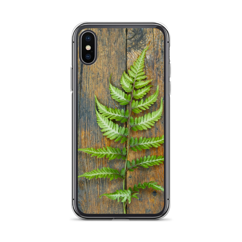 Fern iPhone Case