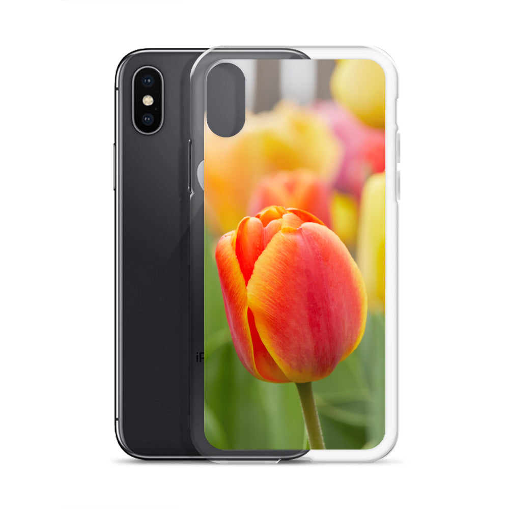 Colorful Tulip iPhone Case
