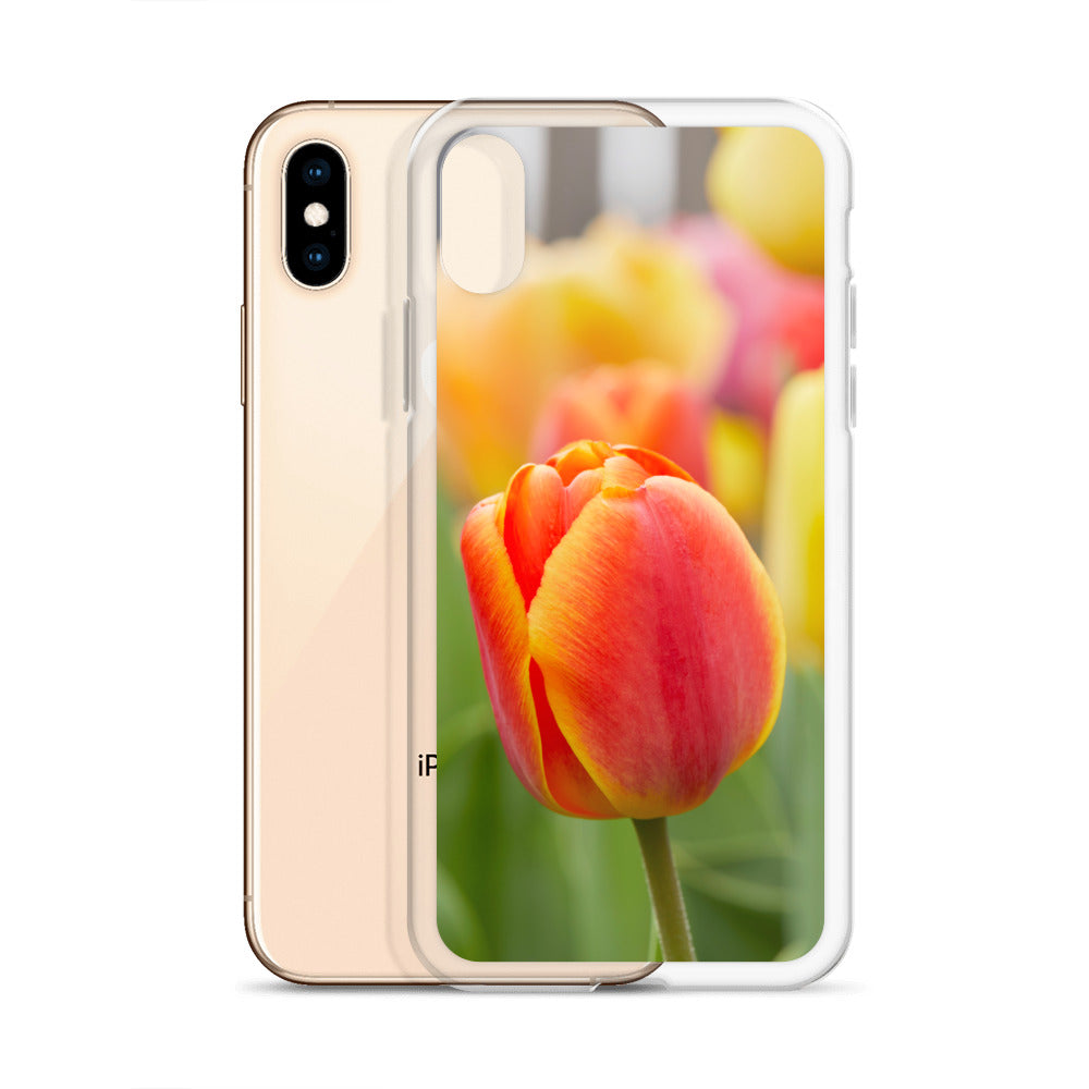 Colorful Tulip iPhone Case