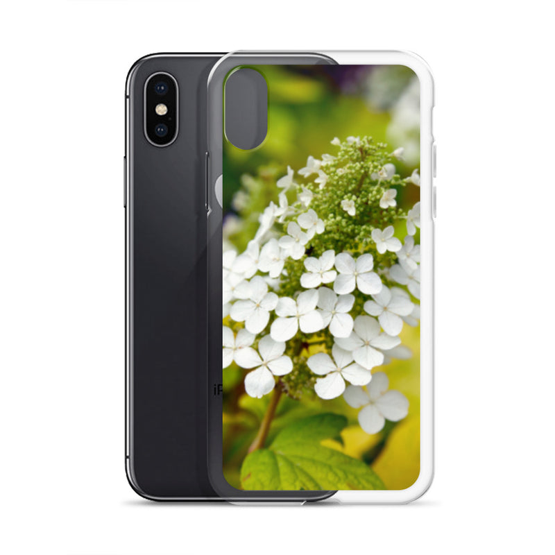 Panicle Hydrangea iPhone Case