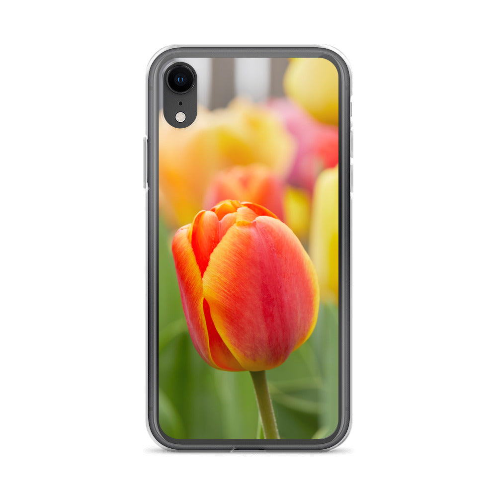 Colorful Tulip iPhone Case