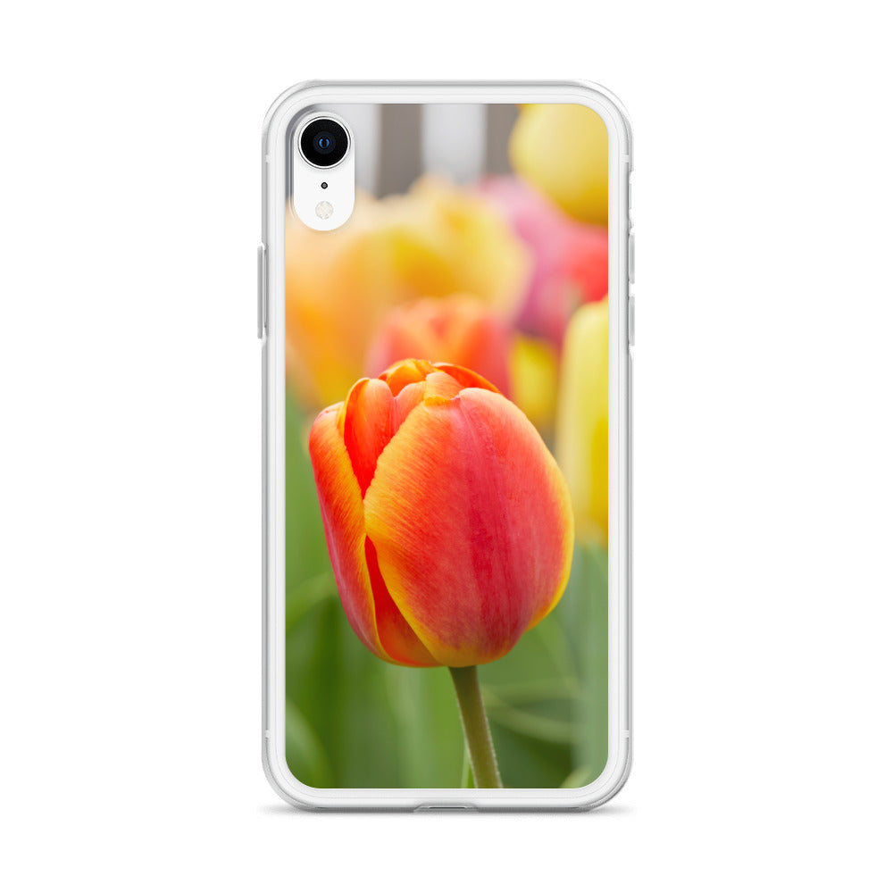 Colorful Tulip iPhone Case