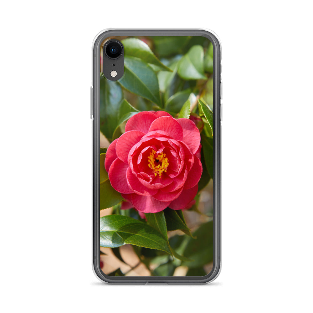 Red Camelia iPhone Case
