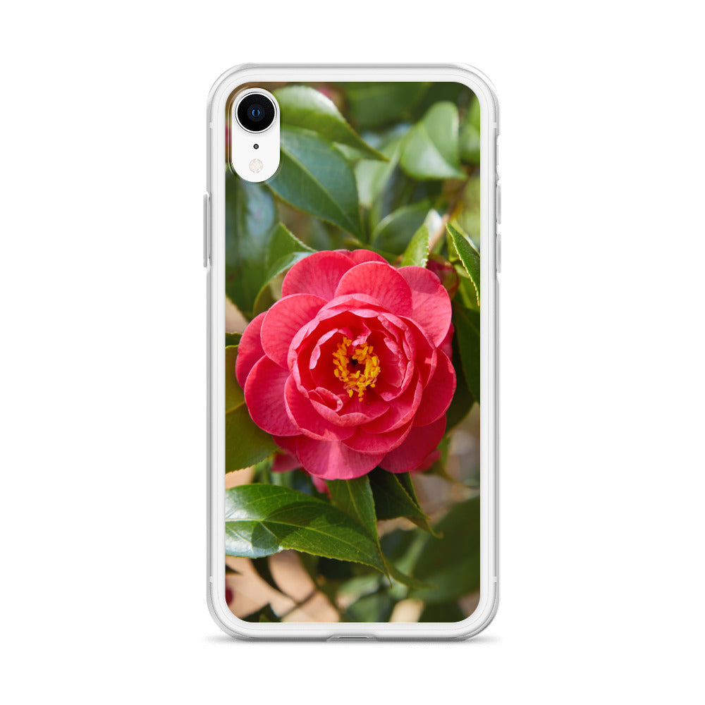 Red Camelia iPhone Case