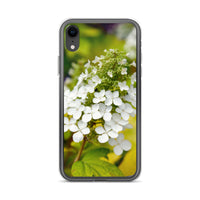 Panicle Hydrangea iPhone Case