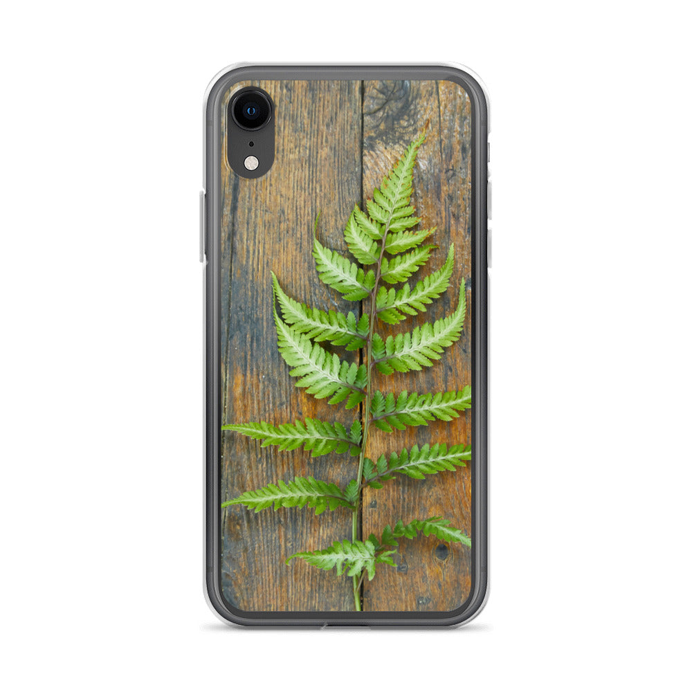 Fern iPhone Case
