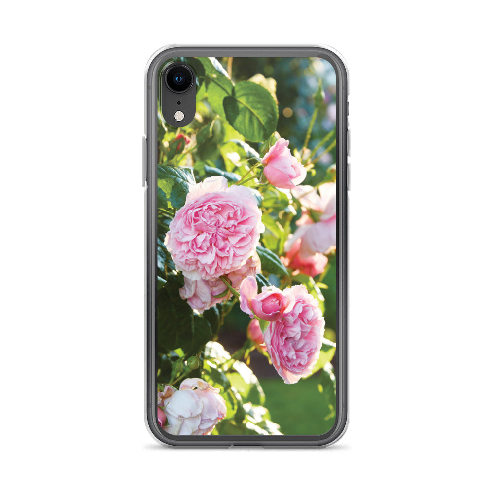 Pink Roses iPhone Case
