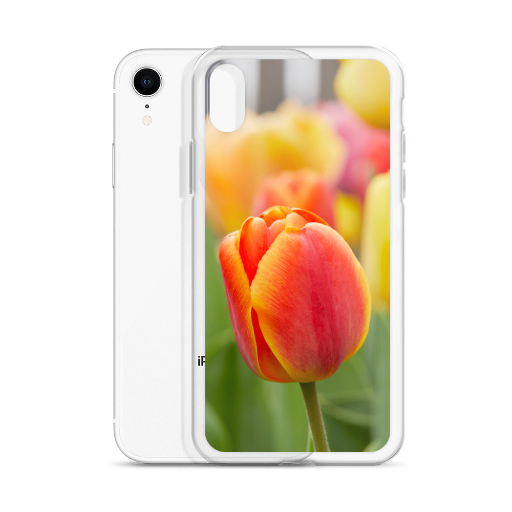 Colorful Tulip iPhone Case