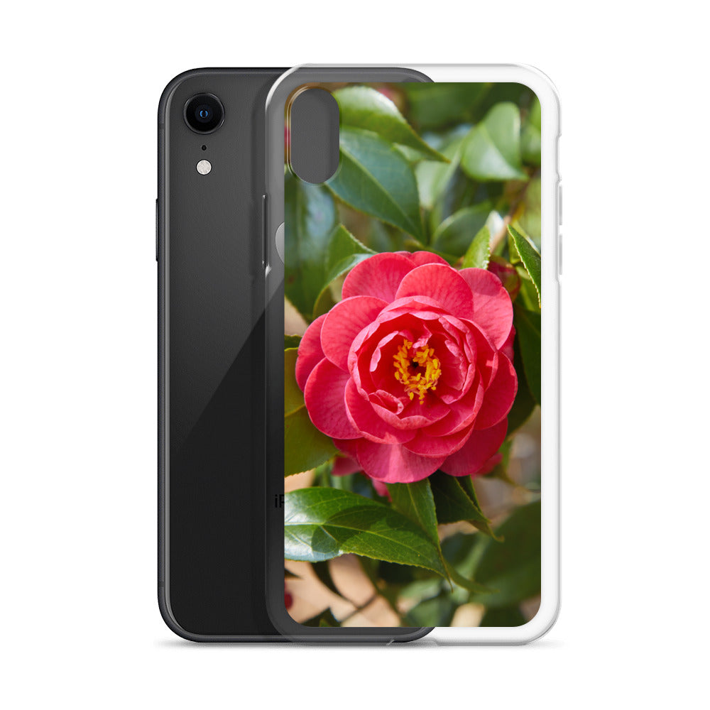 Red Camelia iPhone Case