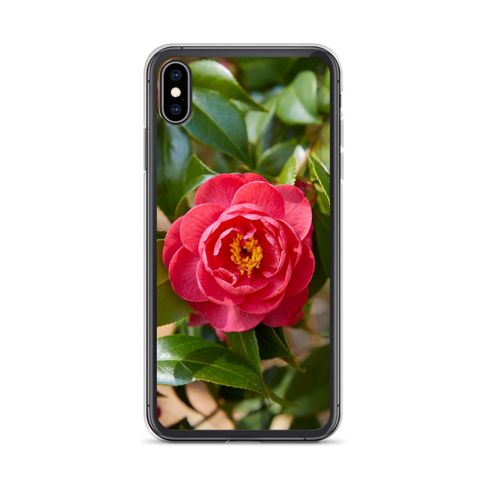 Red Camelia iPhone Case