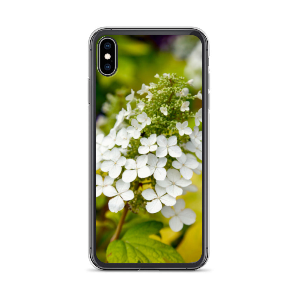 Panicle Hydrangea iPhone Case
