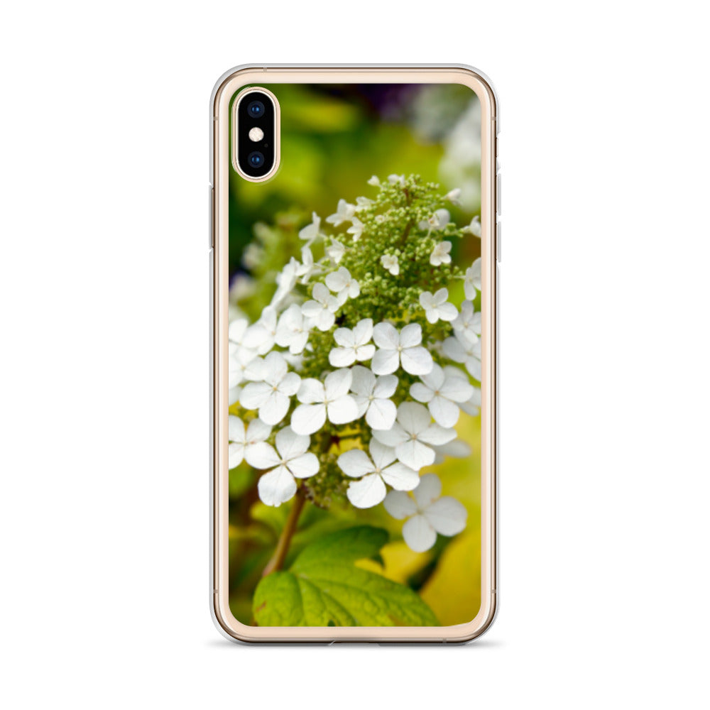 Panicle Hydrangea iPhone Case