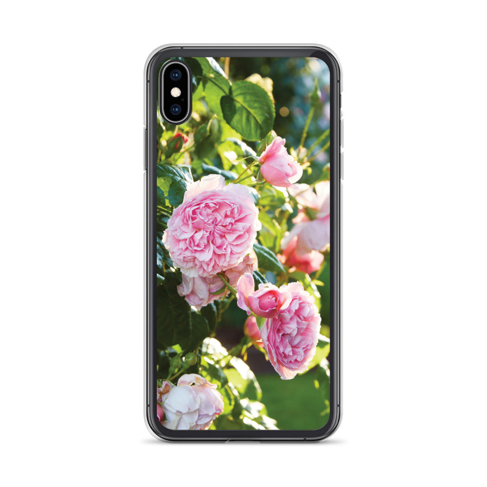 Pink Roses iPhone Case