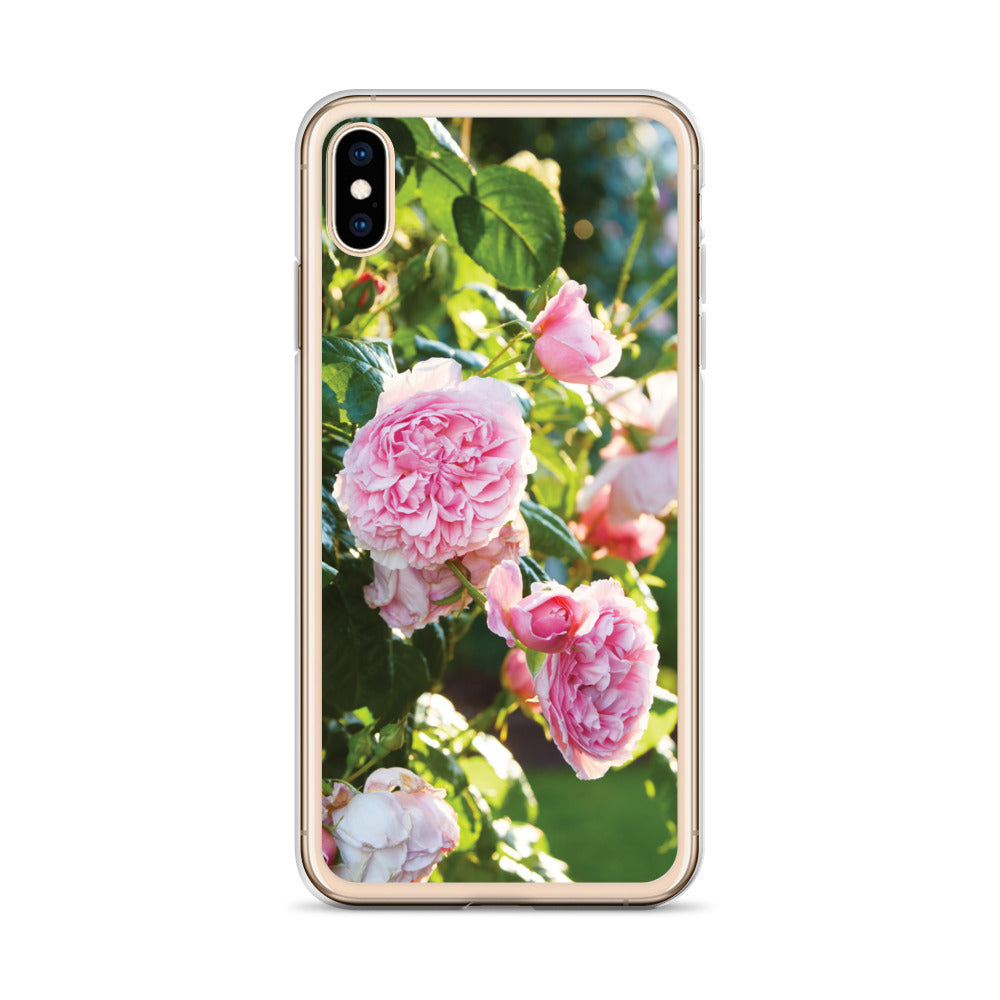 Pink Roses iPhone Case