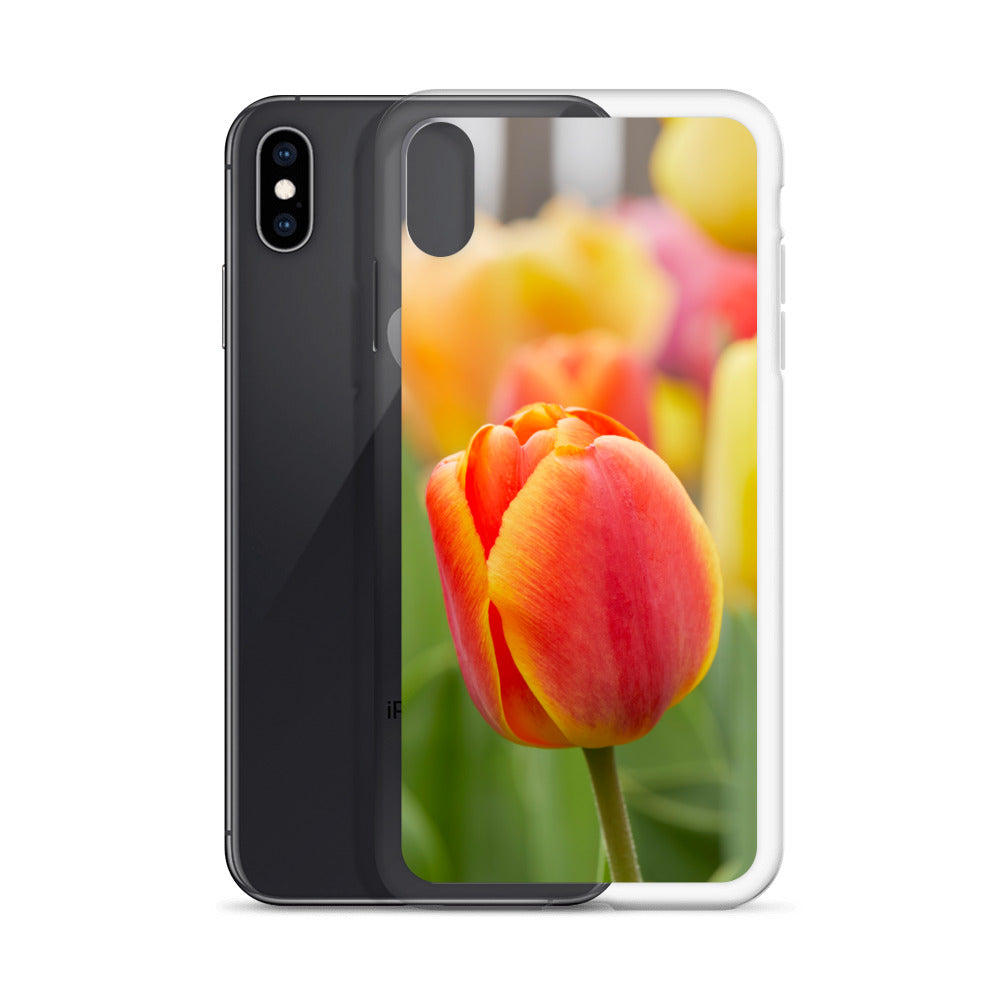 Colorful Tulip iPhone Case