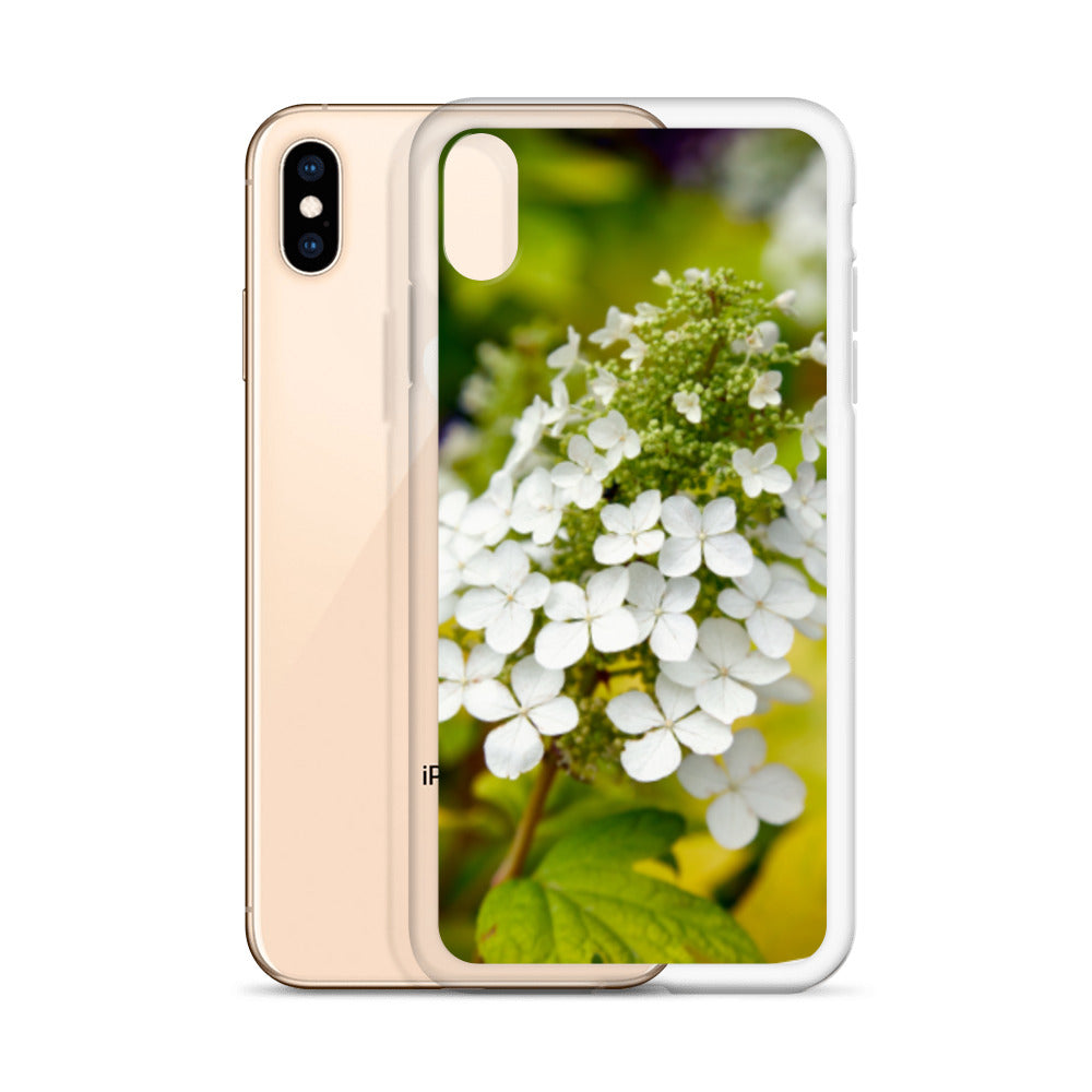 Panicle Hydrangea iPhone Case