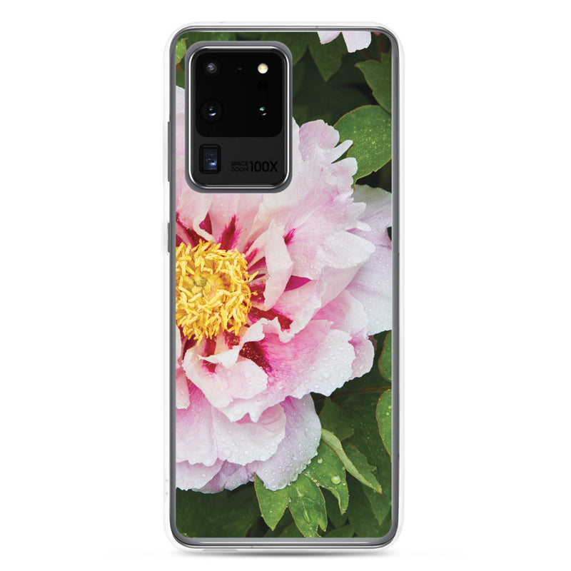 Monarch on Milkweed Samsung Phone Case