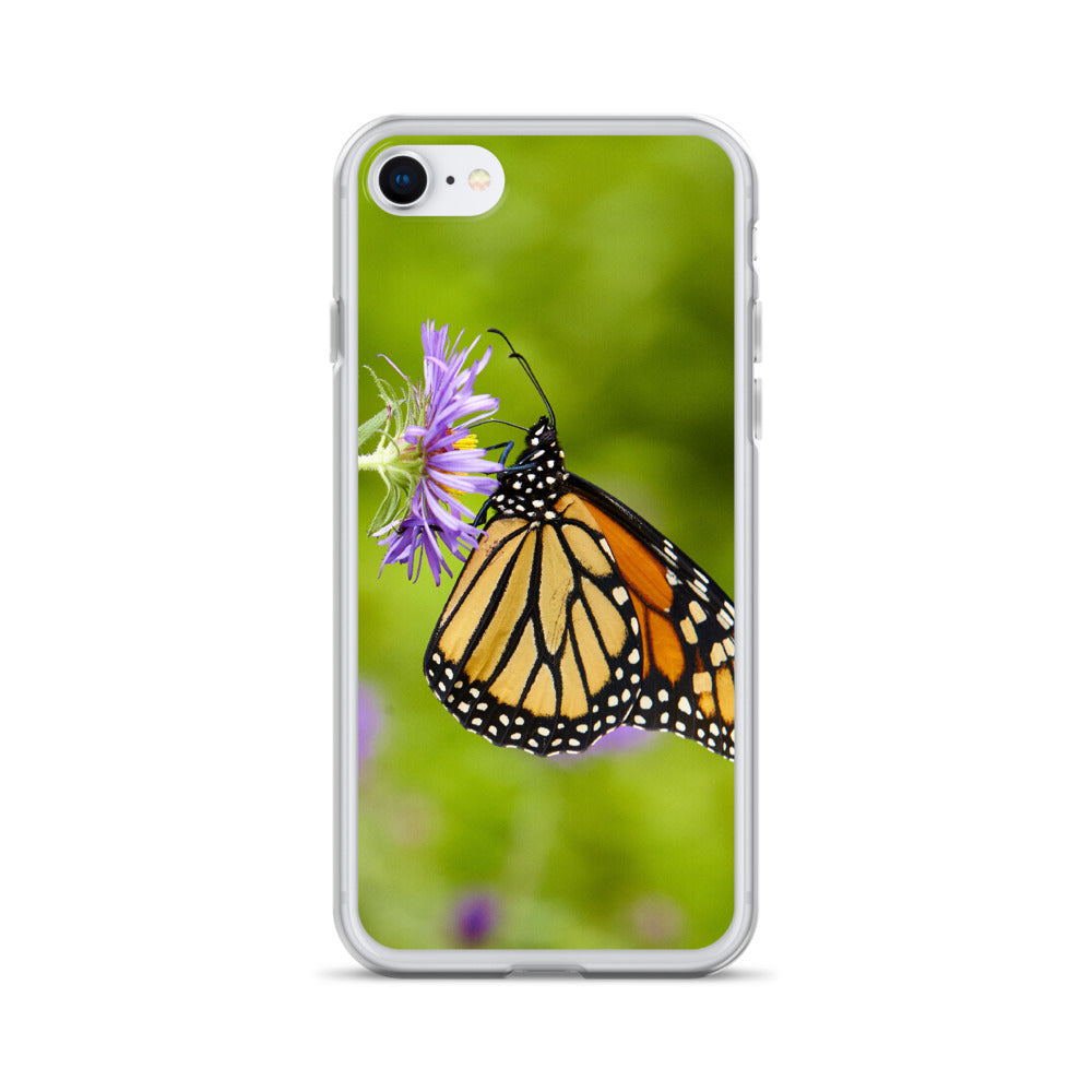 Monarch on Aster iPhone Case