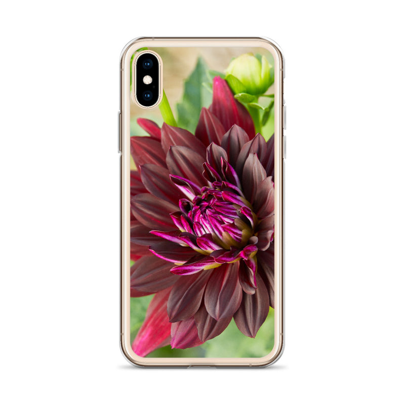 Black Dahlia iPhone Case