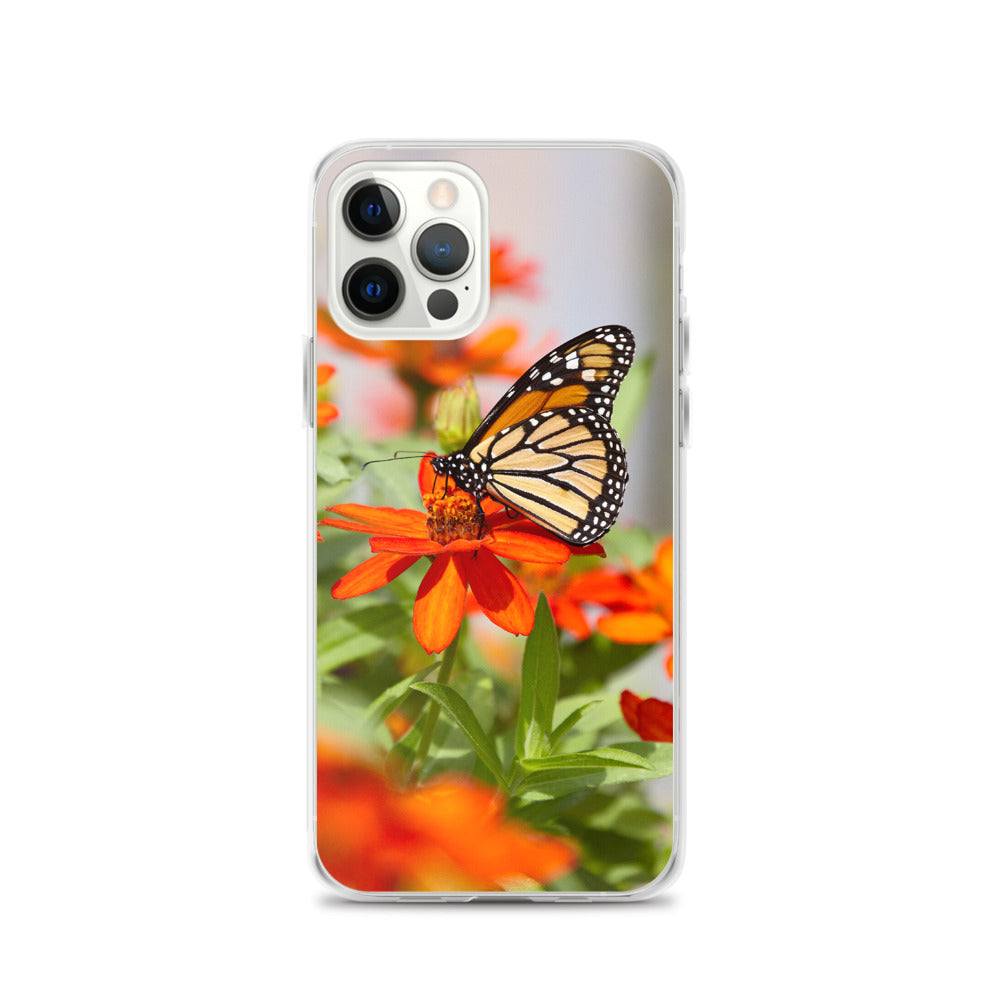 Monarch on Zinnia iPhone Case