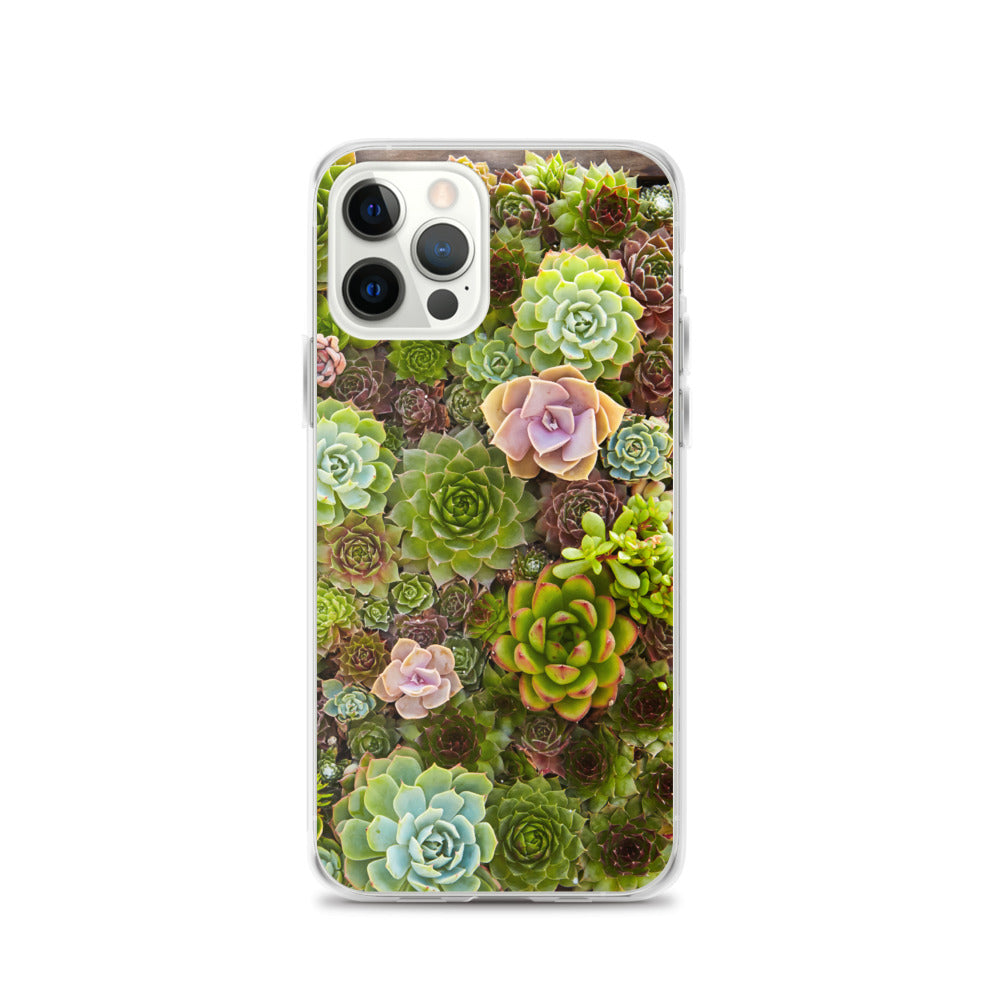 Succulent iPhone Case