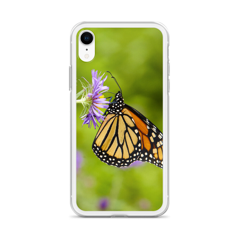 Monarch on Aster iPhone Case