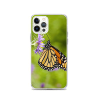 Monarch on Aster iPhone Case