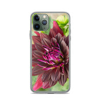 Black Dahlia iPhone Case
