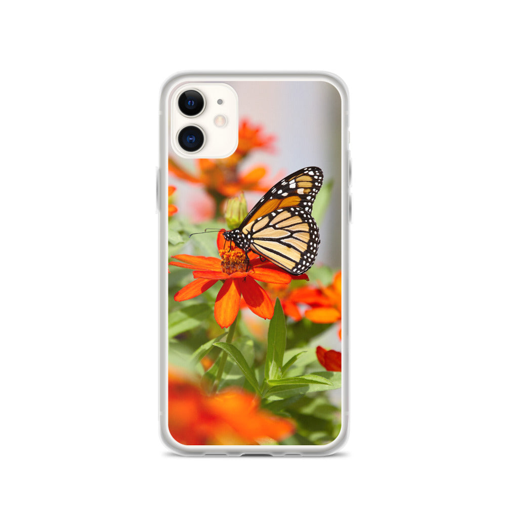 Monarch on Zinnia iPhone Case