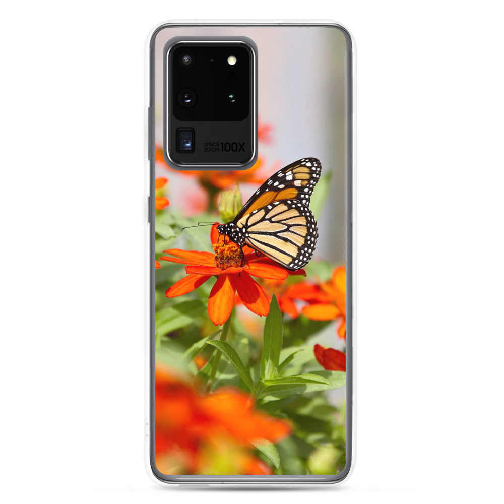 Monarch on Zinnia Samsung Case