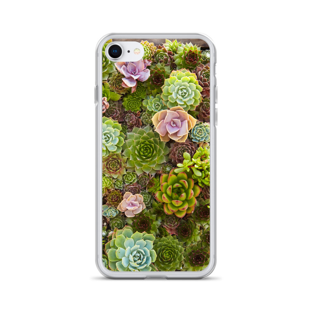 Succulent iPhone Case