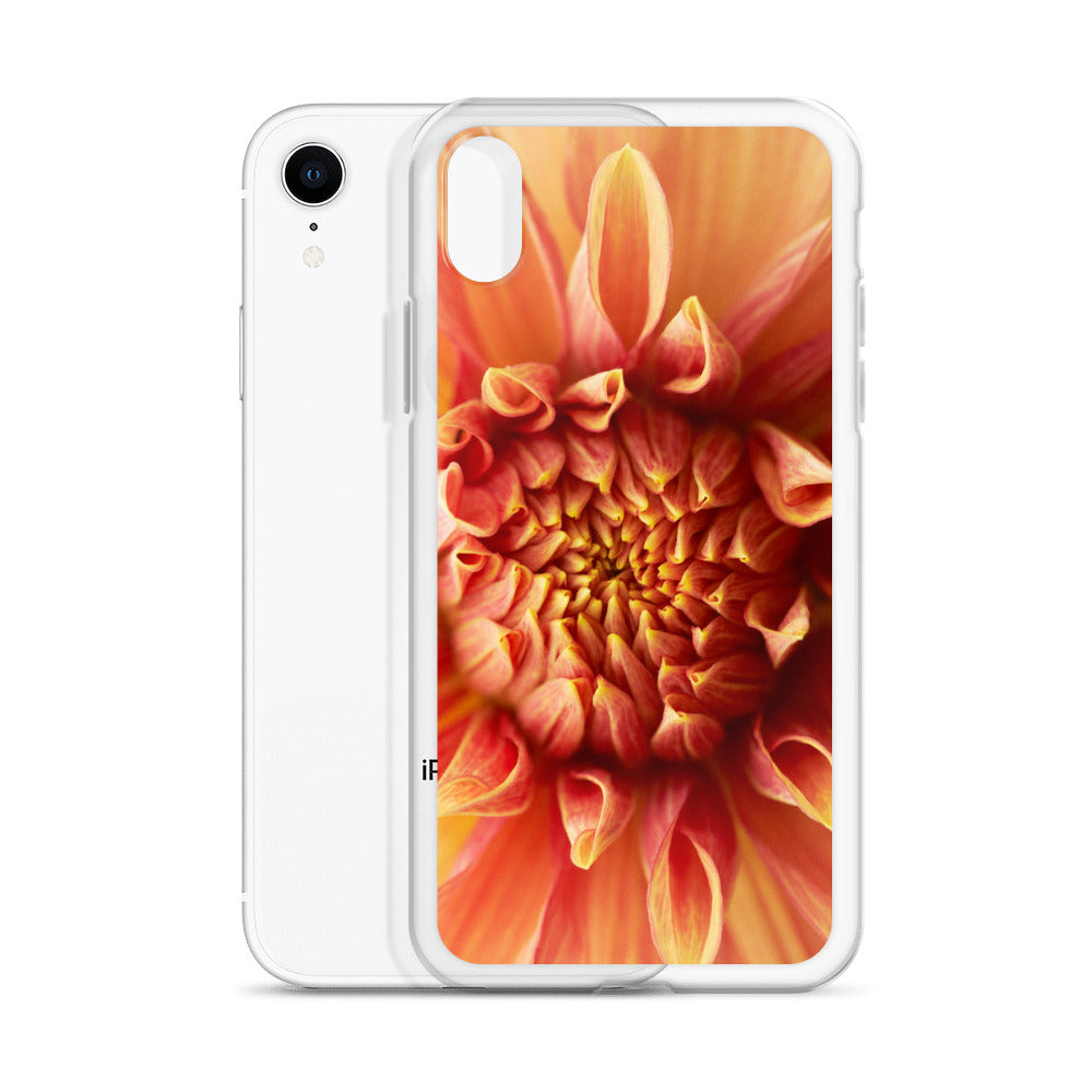 Dahlia Closeup iPhone Case