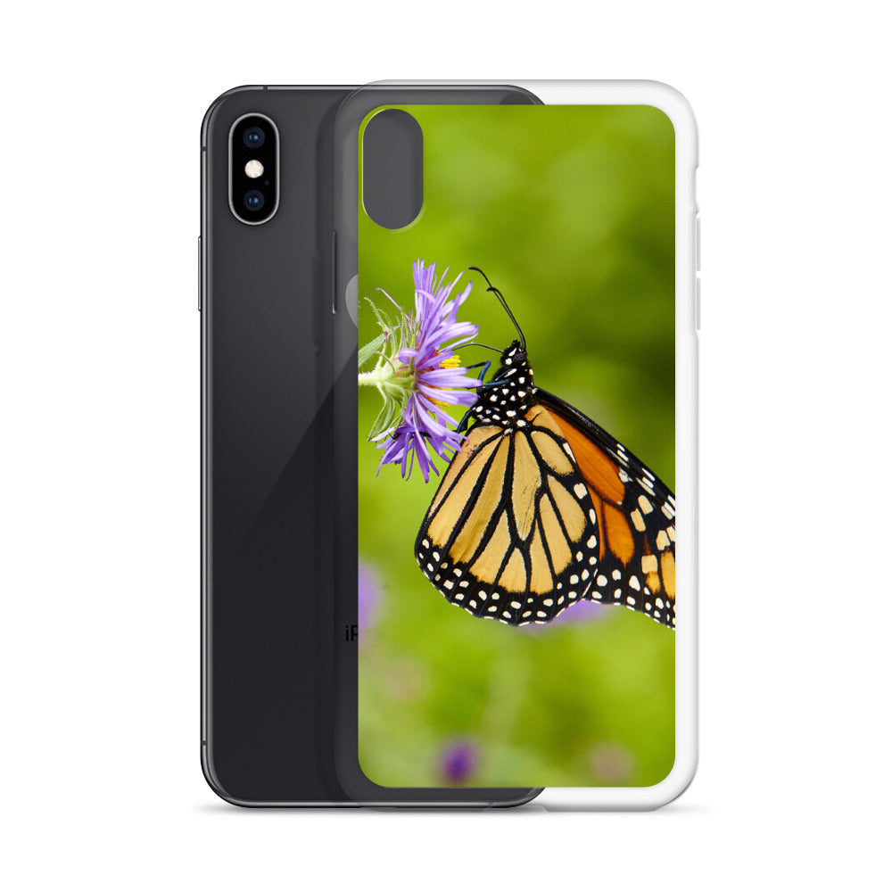 Monarch on Aster iPhone Case
