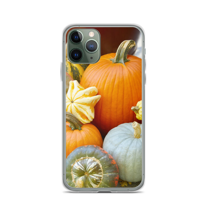 Pumpkin Patch iPhone Case
