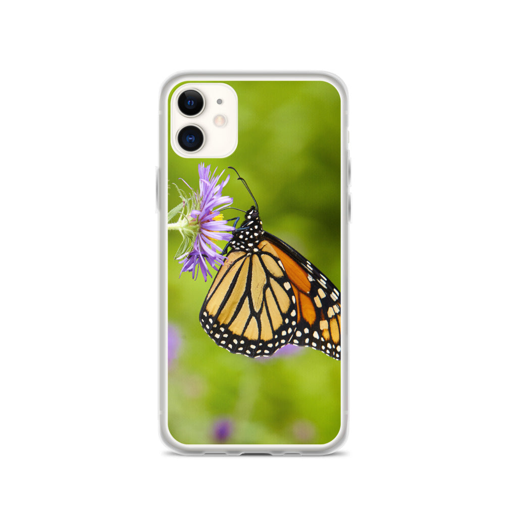 Monarch on Aster iPhone Case