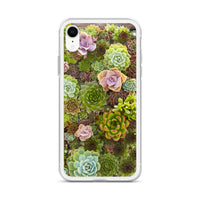 Succulent iPhone Case